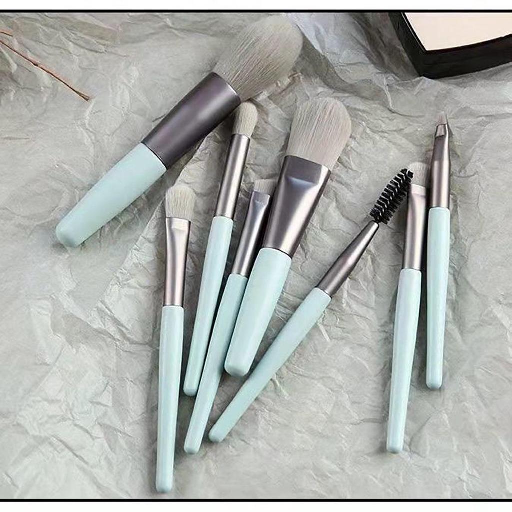8-Piece Travel Makeup Brush Set: Beginner-Friendly Eyeshadow & Blush Brushes for Convenient Application