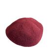 Embroidered Letter R Shaped Beret Hat for Women in Autumn and Winter Cashmere Blend Warm Reverse Wear Forward Hat