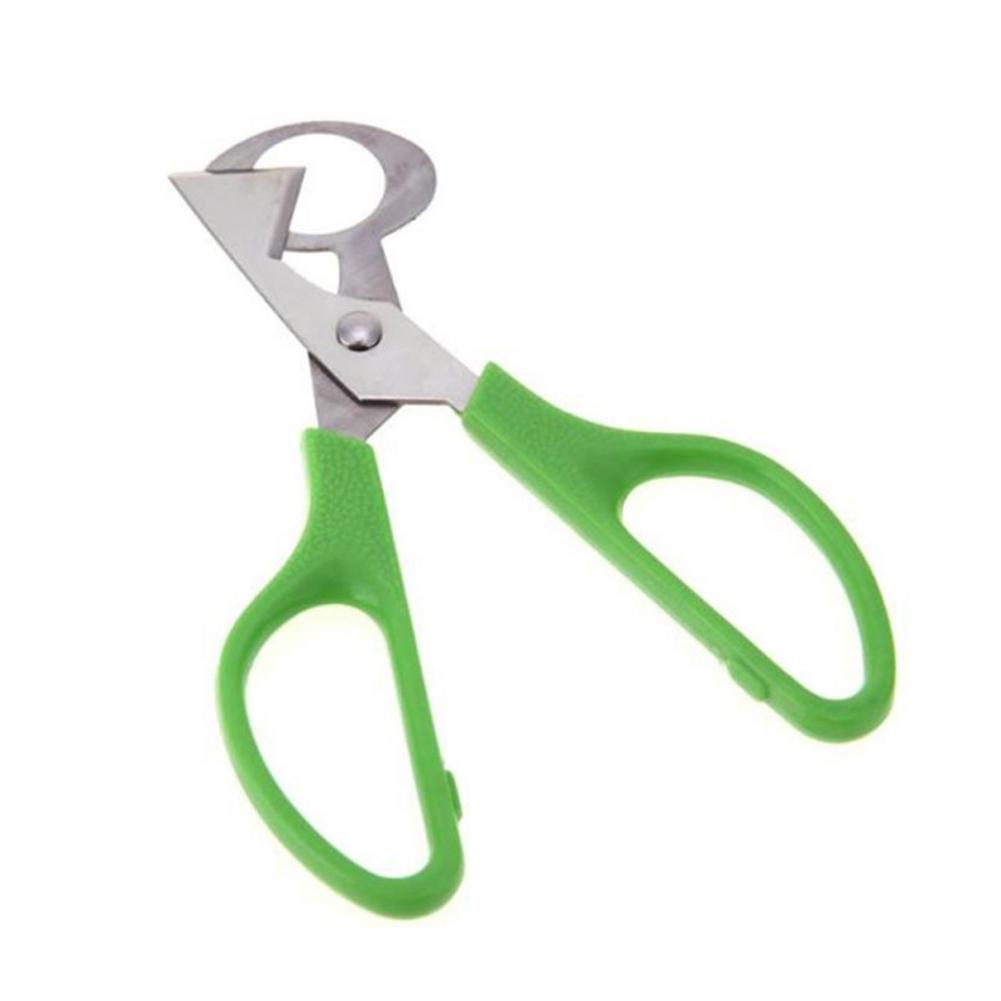 Quail Egg Scissors Quick Stainless Steel 14cm Easy
