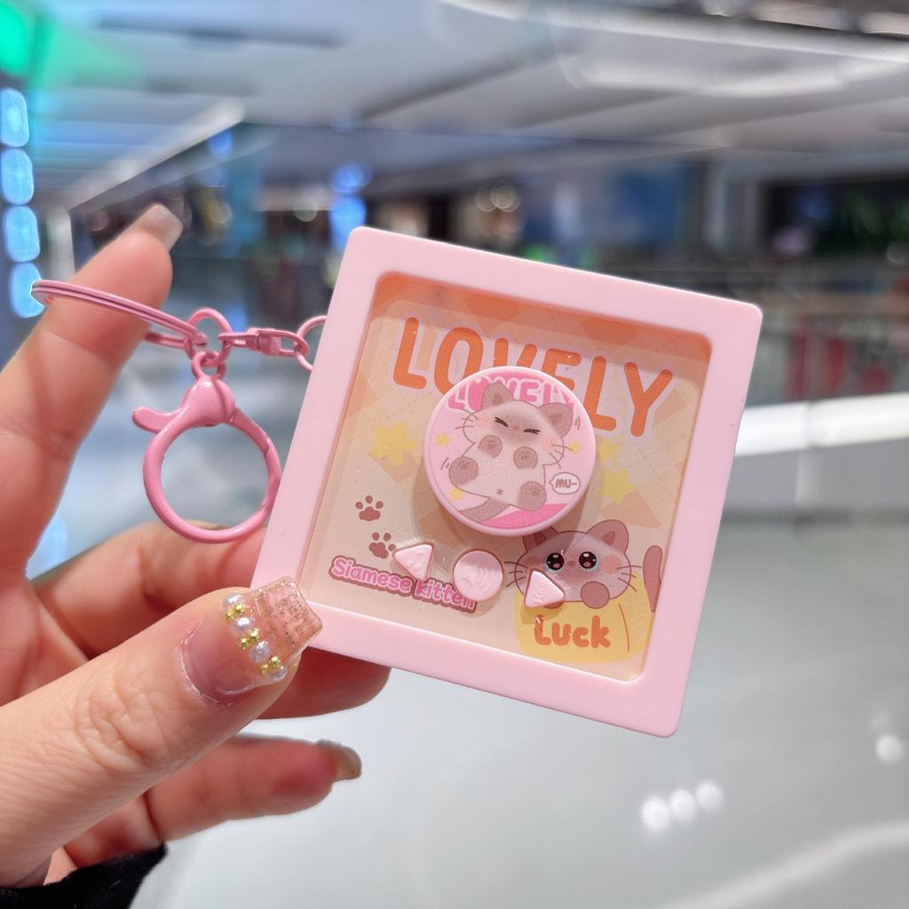 Kreativer Capybara Mini-Plattenspieler Schlüsselanhänger mit CD-Hüllen-Album