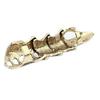 Knuckle Ring Exaggerated Adjustable Unisex Punk Gothic Joint Full Claw Jewelry for Cospaly