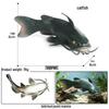 Ocean Wildlife Simulation Toy Set: Sea Turtle, Shark, Whale, Sea Lion, Tiger Shark, Manta Ray, Seal, Grouper.
