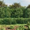 Vidaxl Mesh Fence, With Post Feet, Green, 2.2X10 M