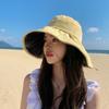Casual Breathable Sun Protection Uv Protection Sunshade Hat Sunscreen Visors Folding Sunshade Travel Caps Embroidery Cap Panama Hat Fisherman Cap