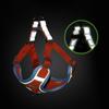 Pet Chest Strap Vest Type Dog Strap Small Dog Rope Outdoor Reflective Breathable Dog Traction Rope Dog Collar Seat Belts
