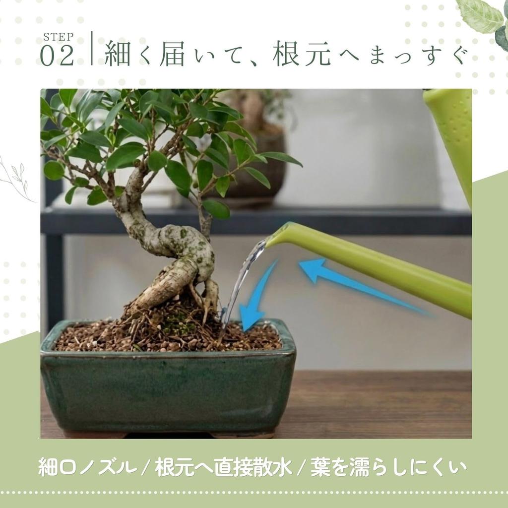 Watering Watering Spray for Watering Can, Jug, Gardening, Bottle, 2-Way Use, 1L, Gardening, (Green, 1L)