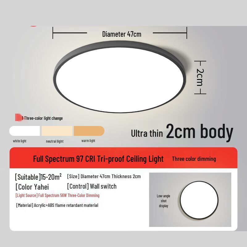 Liangtu Simple LED Ceiling Light