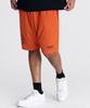 AIRIT Mesh Performance Shorts Am3097 Or