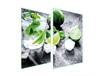 GLAS-SCHUTZPLATTE FÜR DIE KÜCHE 2x35x52 LIMETTE