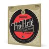 D'Addario ProArte Classical Guitar Strings, Lightly Polished Silver, Normal, EJ45LP