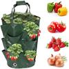 1Pc  Hanging Planting Bag For Aerial Gardening, 3-Gallon Strawberry Specific Hanging Bag, Flower And Plant Basket Growth Bag