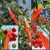 Recolector de uvas y pimientos, cuchillos para pulgar, tijeras de podar de jardín fáciles de recoger, tijeras recolectoras multifuncionales