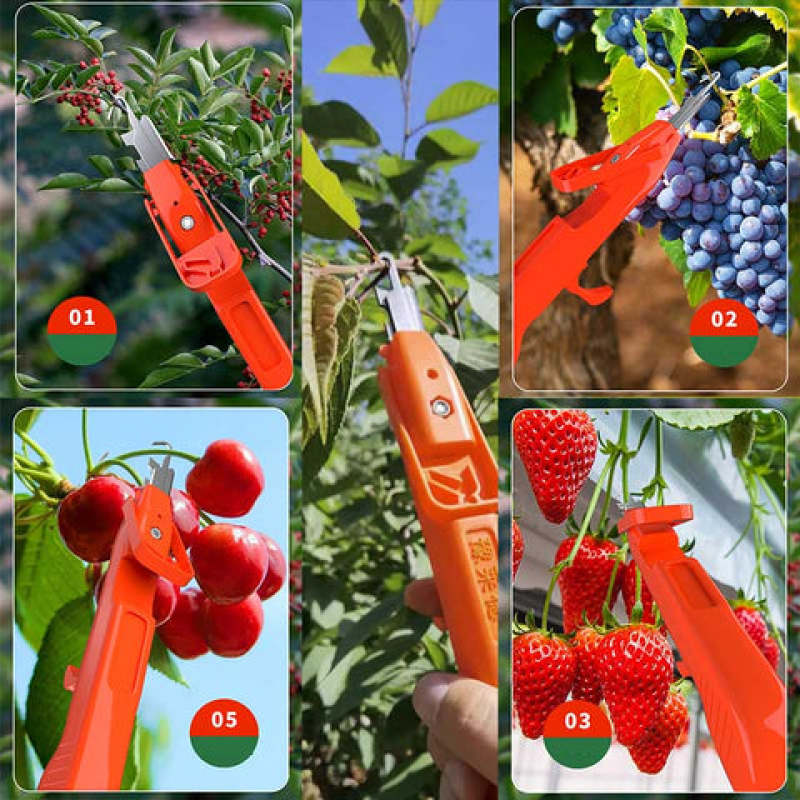 Recolector de uvas y pimientos, cuchillos para pulgar, tijeras de podar de jardín fáciles de recoger, tijeras recolectoras multifuncionales