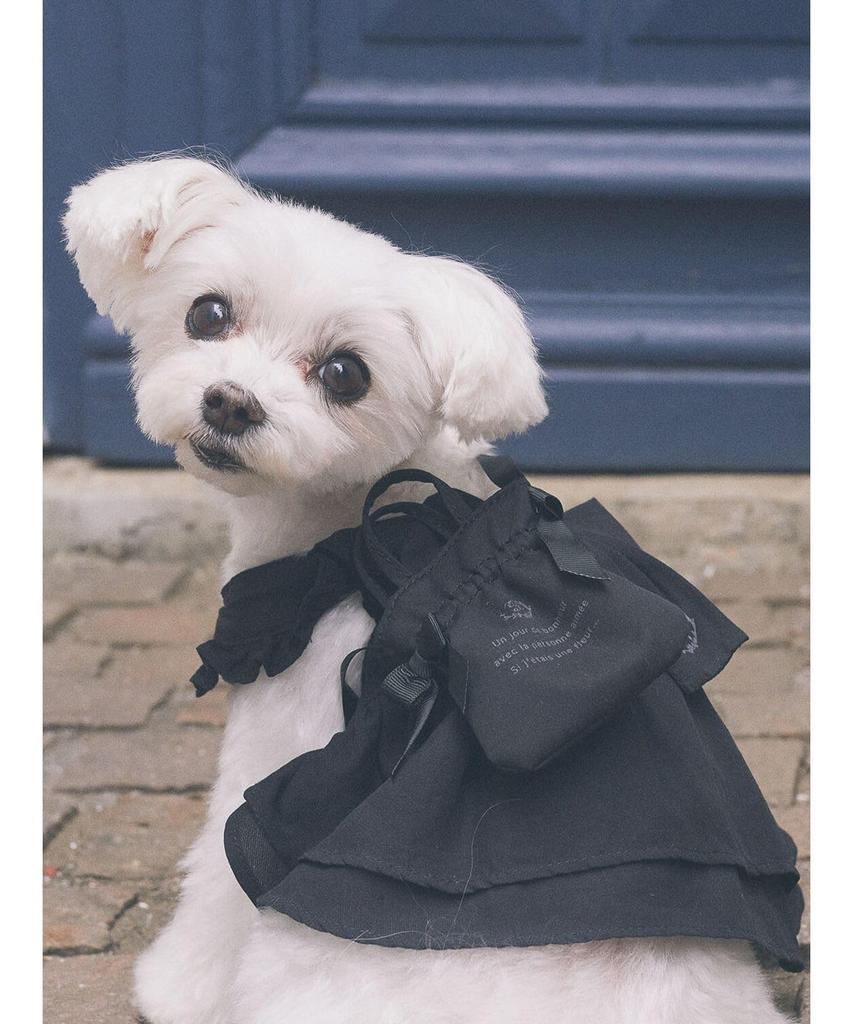 Maison De Fleur Apparel Mini Double Ribbon Bag, Women's, Pink