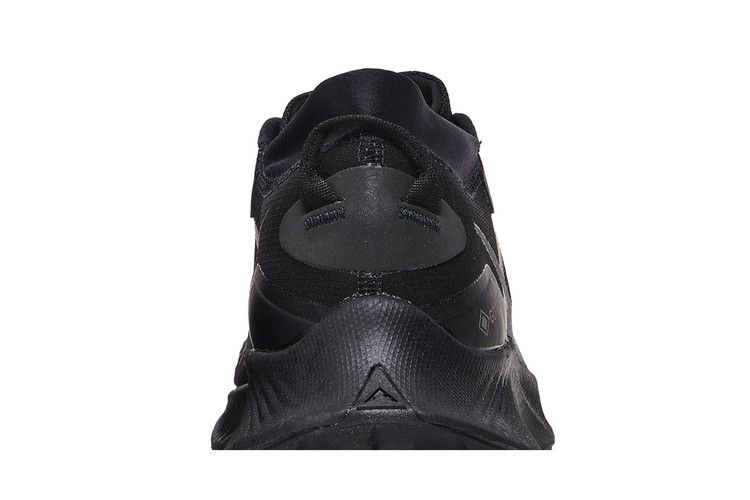 Nike Pegasus Trail 3 GTX 'Triple Black'