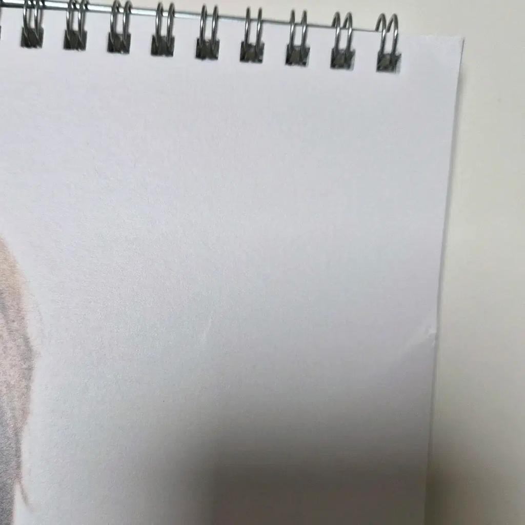 SEVENTEEN Deco Unused) 2025 Season's Greetings Sig Wall Calendar Weverse Bonus Transfer Used