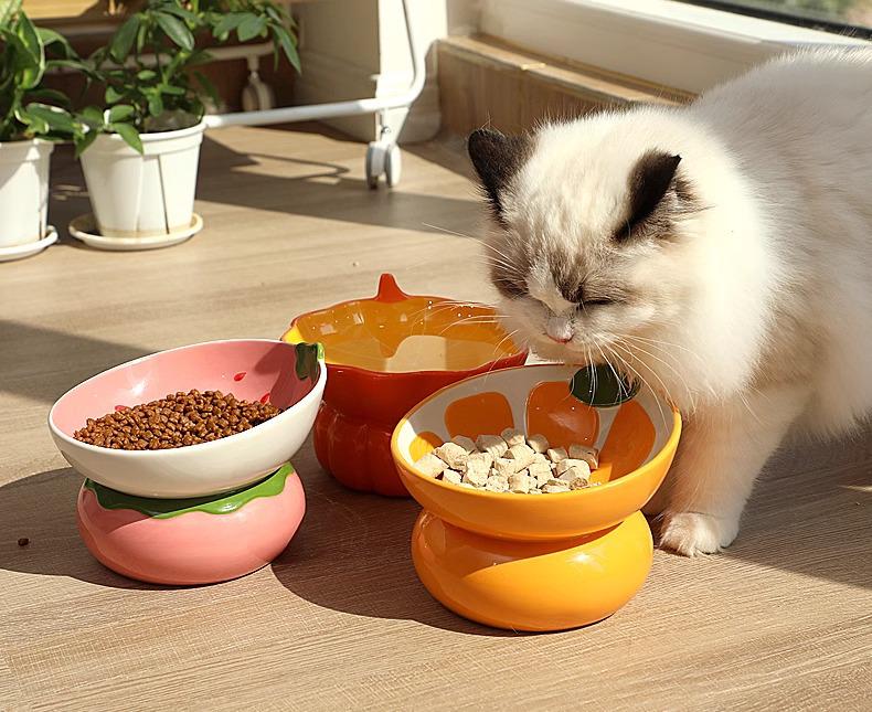 Ergonomic Ceramic Cat Bowl: High-Legged, Slanted Design Protects Pet's Cervical Spine for Food & Water