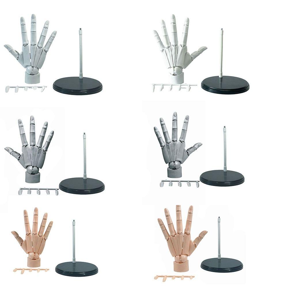 Left/Right Articulated Hand Model Hand Finger Joint Figurine  Simulation Sketching Painting