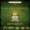 Frankenstein by Mary Shelley Hardback Book 9780785839880