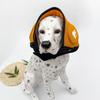 Pet Dog Earmuffs: Warm, Noise-Reducing Headwear to Soothe and Calm