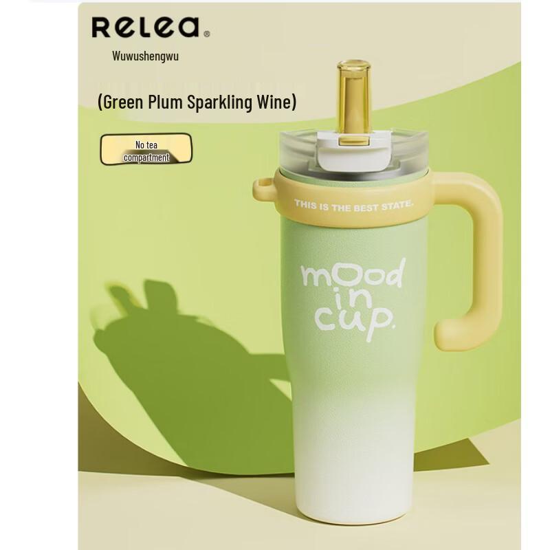 RELEA Dali Water Guard Insulated Bottle with Handle