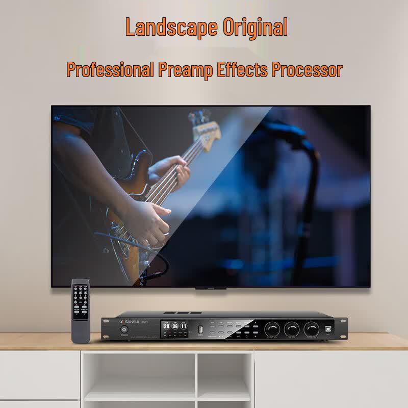 SANSUI DM2612 KTV Home Theater Audio System (CN version)