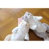 Sunlemon P-6472 Knee Cat Plush Toy Soft Cuddly Stuffed Animal for Kids