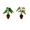 1:12 Dollhouse Miniature Plant  Miniature Dollhouse Decorations