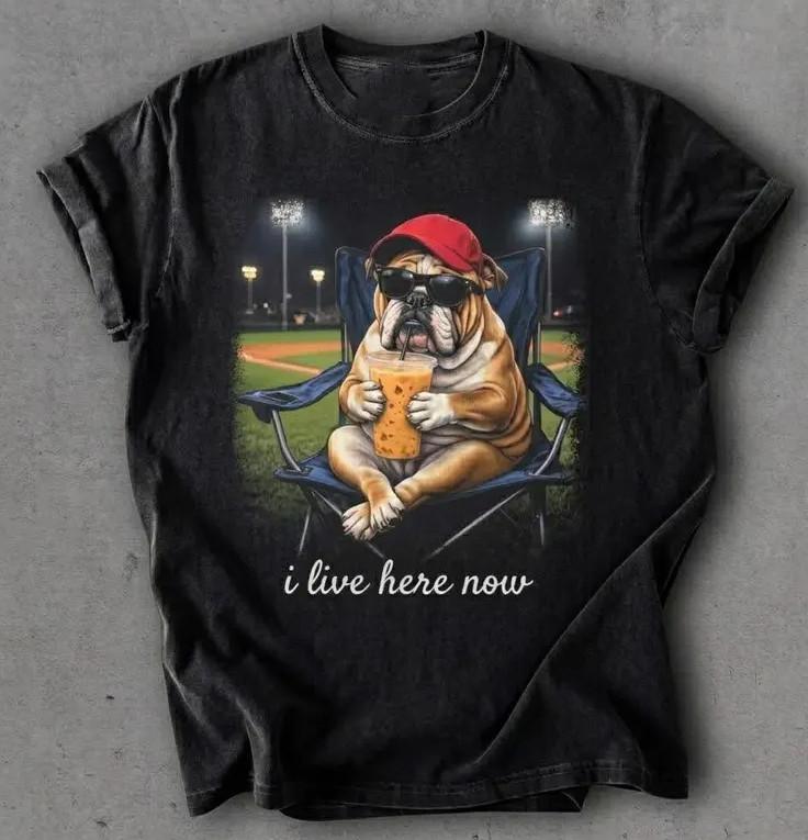 Comfort Colors Bulldog I live Here Now T-Shirt, Bulldog Drinking Iced Coffee T-Shirt 2XL