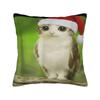 Cat Owl Funny Pillow Case  Graphic Pillow Cover Retro Trendy Cushion Cover For Office Car Home Decor