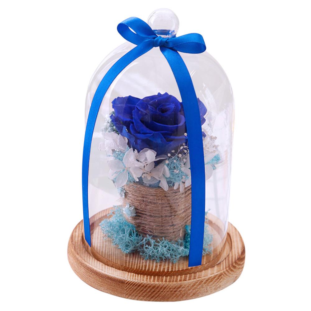 Konservierte Rosen Blume im Glas Geschenk Valentinstag Geburtstag