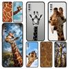 Giraffe Phone Case For Samsung A24 A12 A14 A32 A50 A70 A20E A20S A10S A22 A30 A40 A34 A54 A42 A52 5G A02S A04s Soft Cover