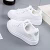 Spring Shoes 22 New Sub-spring Board Shoes Student Casual Spring and Autumn Flat-bottomed Lace-up Single Shoes