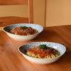Natural69 Hasami Ware Set Curry Pasta Set Natural 69 Hasami Ware Curry Pasta Large Microwave Dishwasher Made In Stylish and Nordic Japanese