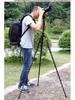 Lightweight Q999 Aluminum-Magnesium Alloy Folding DSLR Tripod - Portable & Stable for Shooting