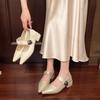 Fashion Retro Elegant Casual Mary Jane Women's Shoes 2025 Spring New Point Head Coarse Heel Shallow Mouth Pumps Comfortable Single Shoes
