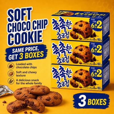 Orion Chocolate Soft Cookies 160g