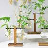 Glass Terrarium Planter Bulb Vase with Retro Solid Wooden Stand Plant Propagation Tubes Hydroponics Vase for Home Garden Decor