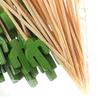 Yousheng 100 Pcs Food Picks Disposable Bamboo No Harm Cactus Shape Salad Sticks for Banquet