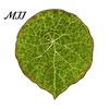 Plant Home Decor 3D Tropical Plants Refrigerator Magnet, Acrylic Green Decorative Fridge Metal Surface Magnet Memo Notes Photo Holder for Kitchen