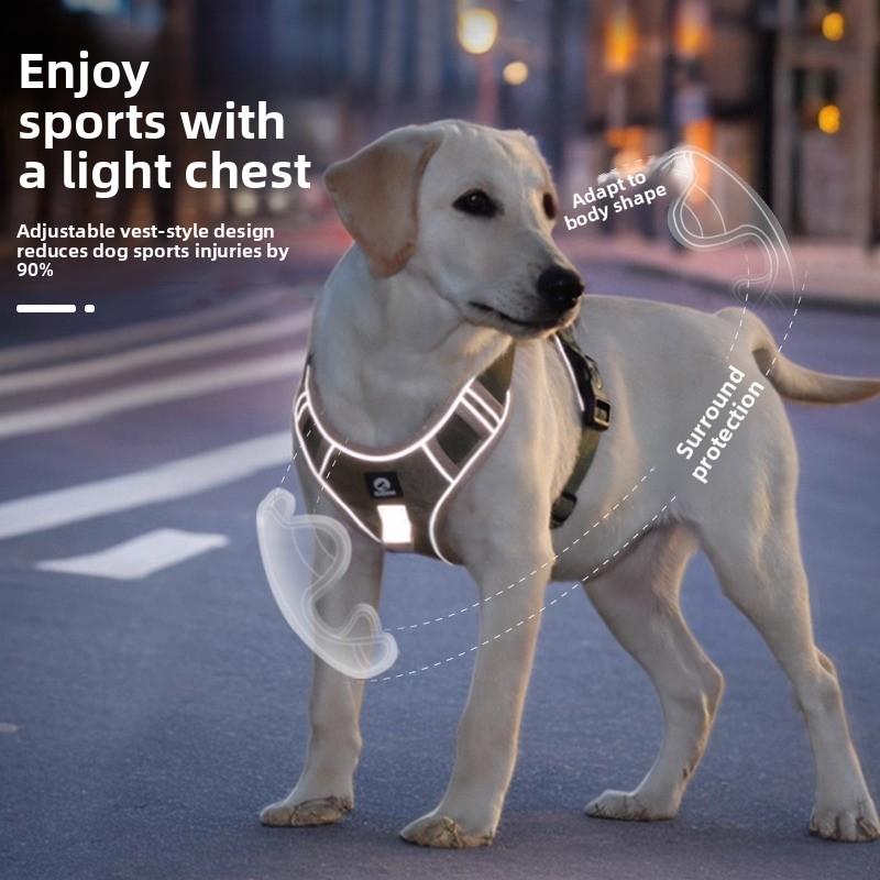 Große Hundeleine, Explosionssicheres Spülweste-Typ Brust- und Rückengeschirr, Mittlere und Große Hundespazierleine, Hundekette