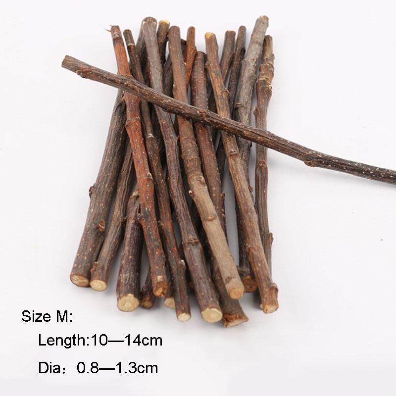100g Teeth Grinding Apple Tree Stick Biting Tree Small Animal Toys for Hamster Guinea Pig Rabbit Squirrel Hedgehog