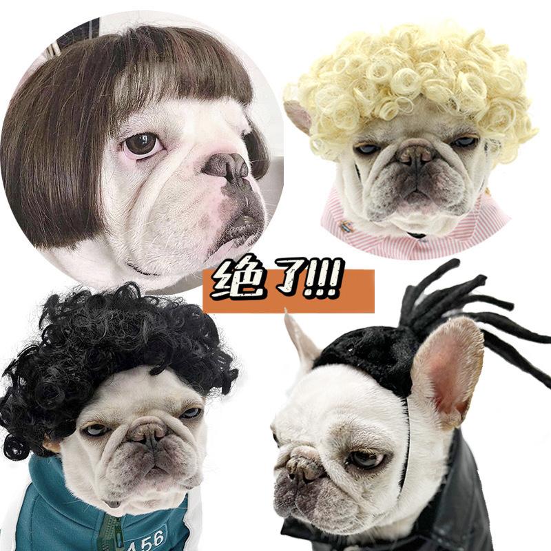 Lustige Hunde-Katzen-Cosplay-Perücke für kleine Hunde, Kopfbedeckung, Cosplay-Kostüm-Accessoires, Haustierperücken für Halloween, Heiligabend, Festival-Party-Dekoration
