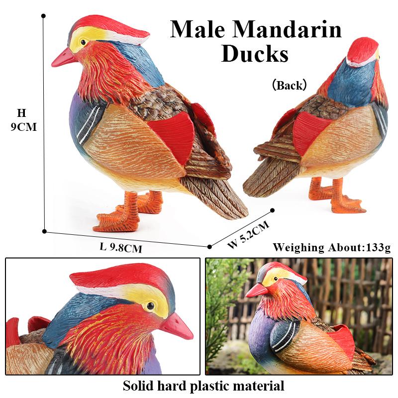 Oenux Simulation Cute Poultry Farm Animals Model Mandarin Duck Goose Swan Hen  Action Figures PVC Miniature Toy Gift For Kids
