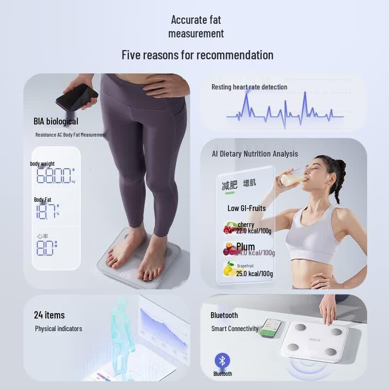 BEAR Smart Body Fat & Weight Scale (CN Version)