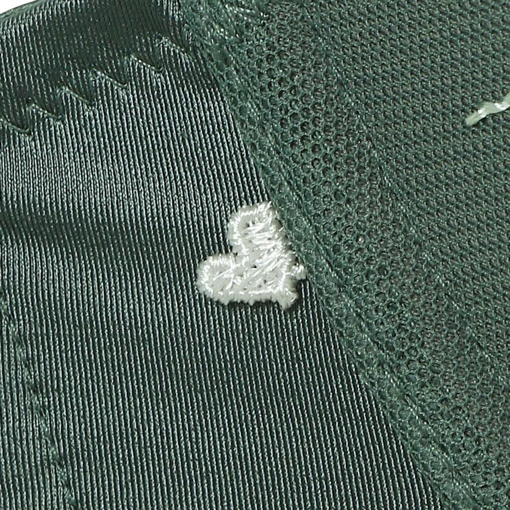 By Dreamy Bra Deep V Bra Gardening Lace M010 F75 [Amostyle Triumph] (Painting Style) Women's (Green)