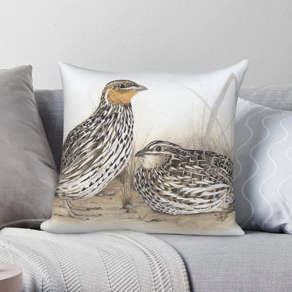 Stubble Quails Square Pillowcase Polyester Linen Velvet Printed Zip Decor Room Cushion Cover