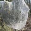 Plant Mesh Cover for Garden Protection Bird Netting Drawstring Insect Barrier Netting with Zipper for Blueberries Tomatoes Lemons Small Fruit Trees