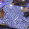 Acrylic Fish & Shrimp Shelter Houses Aquarium Decorations Set Fish Tank Decor Fish Tank Tube Transparent Shrimp Breeding Tube