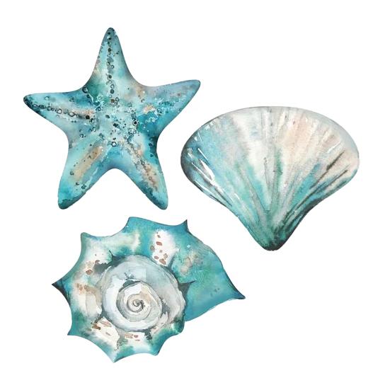 

3 Pcs Wooden Rustic Beach Wall Art Ocean Coastal Nautical Seashell
